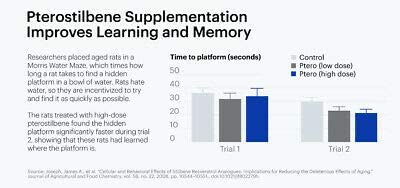 Unlocking the Advantages of Pterostilbene: A Highly Bioavailable Nutritional Powerhouse