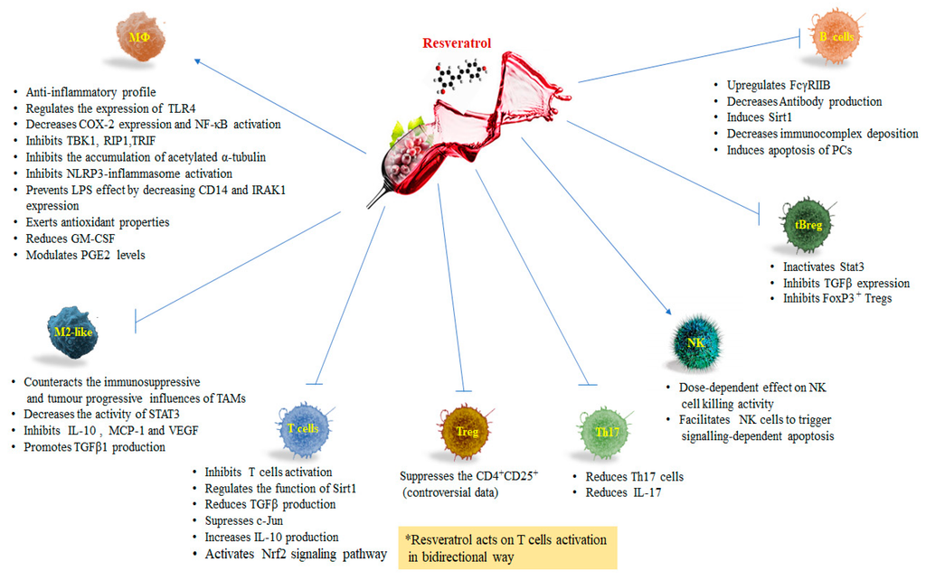 Resveratrol And The Human Immune System