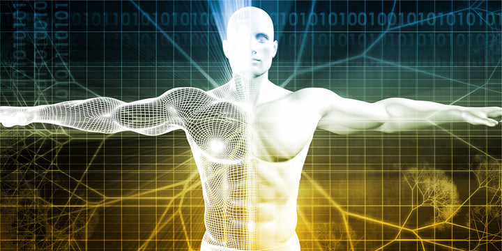 Epigenetic Clocks as Age Predictors: Their History, Strengths, and Limitations