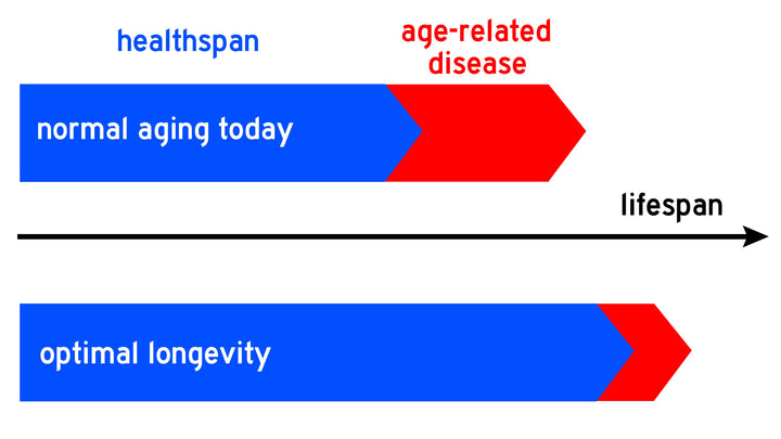 What Is the Theoretical Upper Age Limit of Humans? Blood Cell Counts and Footsteps May Offer a Clue