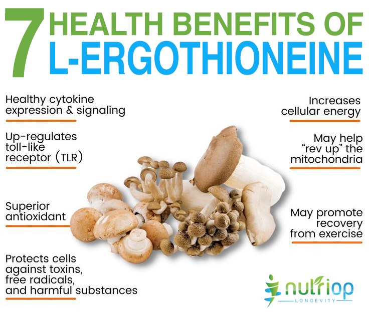 The Role of Ergothioneine in Aging-Related Diseases: A Closer Look at Its Potential Benefits