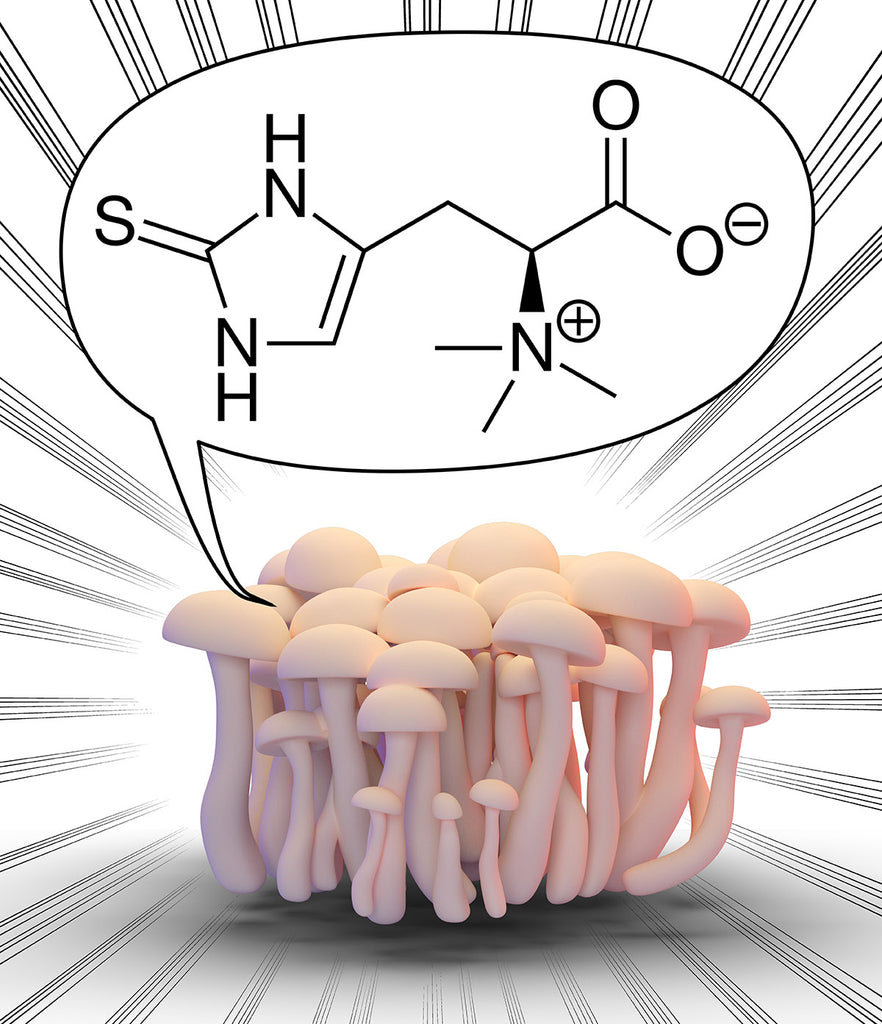 A Different Kind of Magic Mushroom - How Ergothioneine Can Protect Your Brain