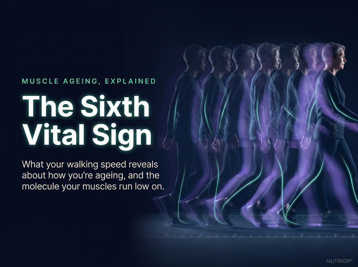 The Sixth Vital Sign: What your walking speed reveals about how you're ageing, and the molecule your muscles run low on. An older adult walking briskly, shown as overlapping silhouettes traced by mint and violet light lines.