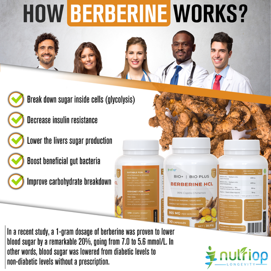 Nutriop Longevity® Bio-Enhanced Berberine HCL med ren organisk piperin och druvkärneextrakt - 865 mg per portion (x45)