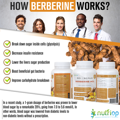 Nutriop Longevity® Bio-Enhanced Berberine HCL with Pure Organic Piperine and Grape Seed Extract - 865mg per serving (x45)