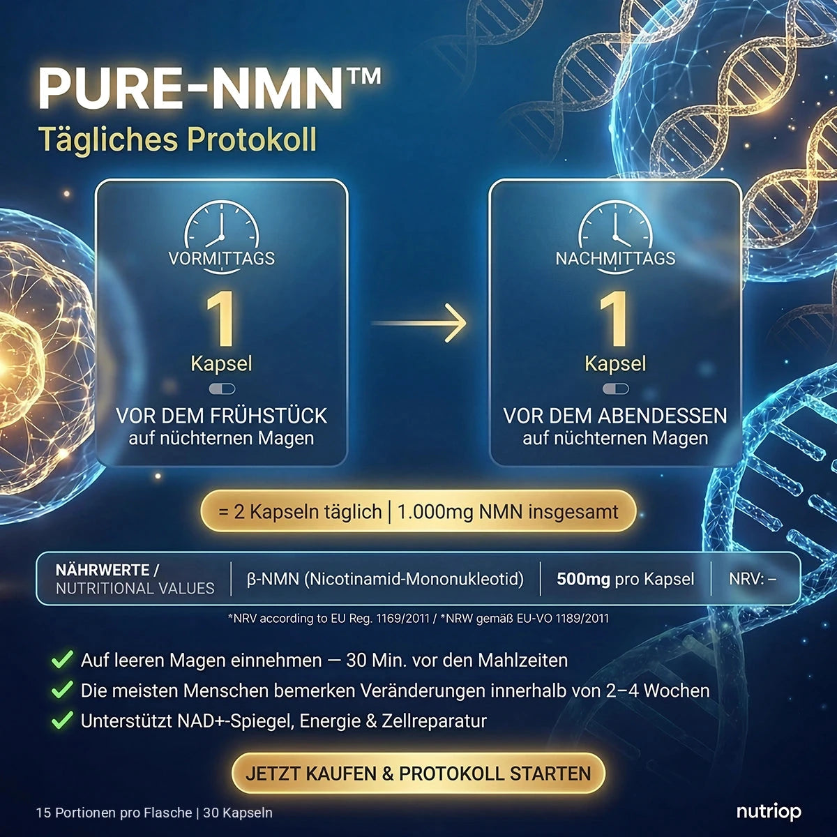 PURE-NMN-Tagesprotokoll: 1 Kapsel vor dem Frühstück und 1 Kapsel vor dem Abendessen, jeweils auf nüchternen Magen – 2 Kapseln (1.000 mg NMN) täglich. 15 Portionen pro Flasche, 30 Kapseln.