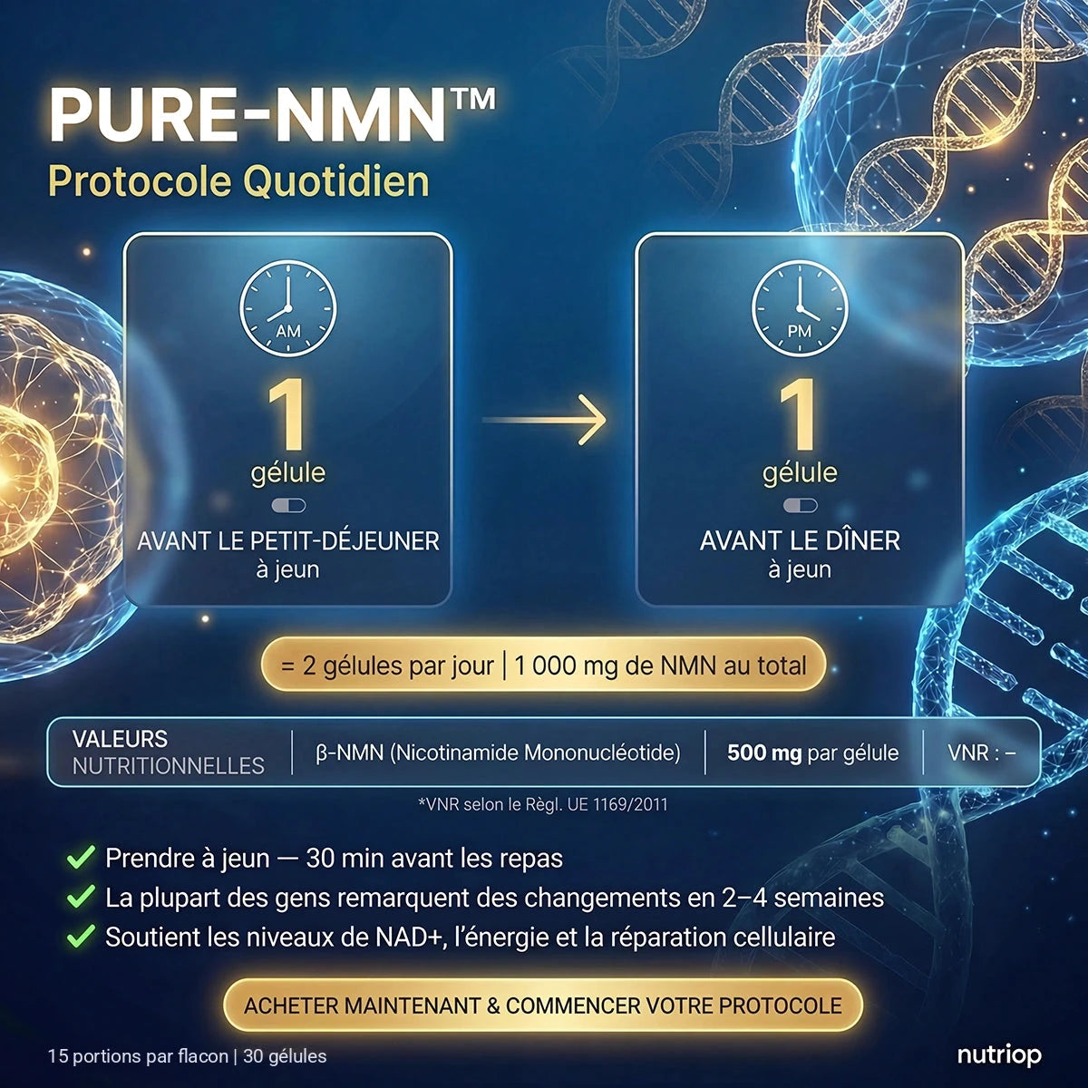 Protocole quotidien PURE-NMN : 1 gélule avant le petit-déjeuner et 1 gélule avant le dîner, à jeun – 2 gélules (1 000 mg de NMN) par jour. 15 portions par flacon, 30 gélules.