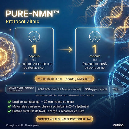 Protocol zilnic PURE-NMN: 1 capsulă înainte de micul dejun și 1 capsulă înainte de cină, pe stomacul gol – 2 capsule (1.000 mg NMN) pe zi. 15 porții pe sticlă, 30 de capsule.