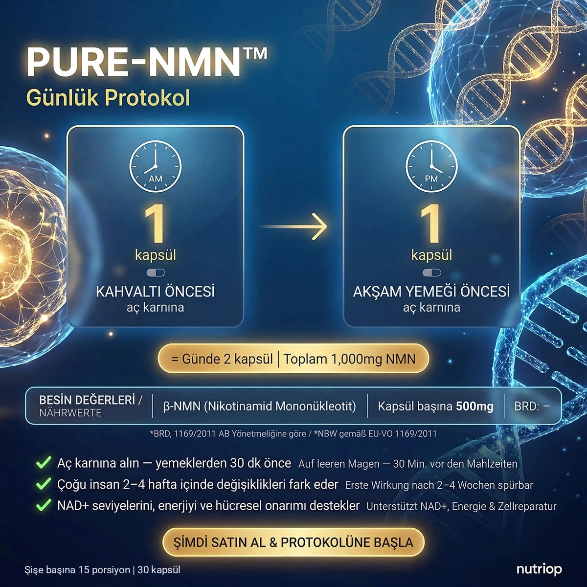 PURE-NMN günlük protokolü: kahvaltıdan önce 1 kapsül ve akşam yemeğinden önce 1 kapsül, aç karnına – günde 2 kapsül (1.000 mg NMN). Şişe başına 15 porsiyon, 30 kapsül.