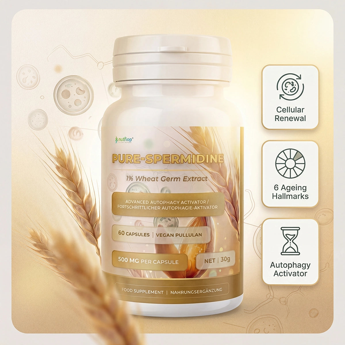 Nutriop® Pure Spermidine 10mg — Advanced Autophagy Activator (60 Capsules)