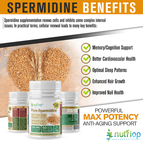 Image of Nutriop® Pure Spermidine - Potência Máxima - 10mg - 30 doses