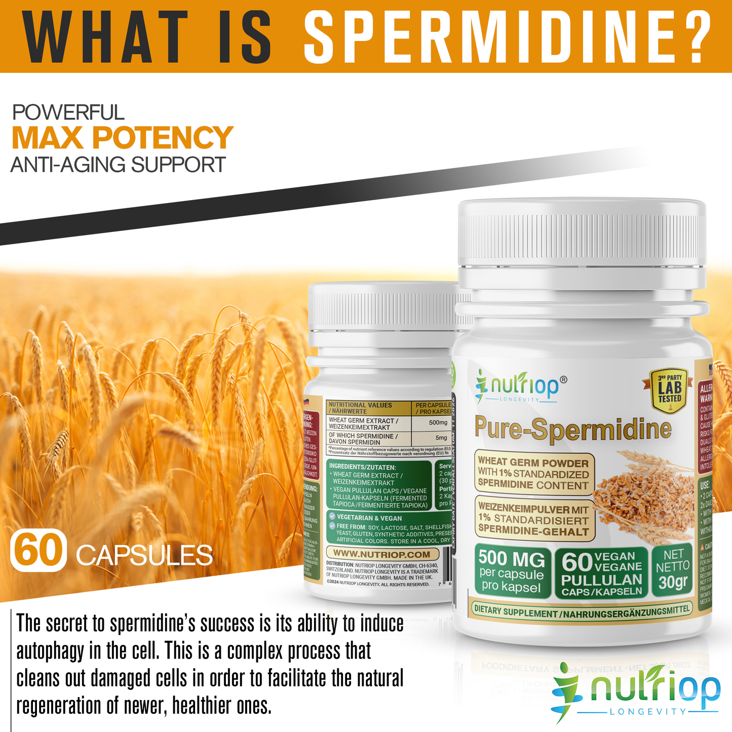 Nutriop® Pure Spermidine - Max Potency -10mg - 30 servings