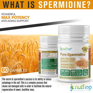 Nutriop® Pure Spermidine - Potência Máxima - 10mg - 30 doses